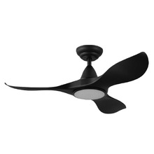 Noosa DC Ceiling Fan with LED